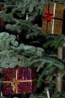 Glühweintreff und Weihnachtsbaumschmücken 2013